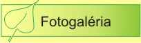 Fotogal&eacute;ria